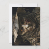 Halloween Scarecrow Wenskaart (Voorkant)