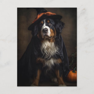 Halloween Schattige Heks Berner Berghond Briefkaart