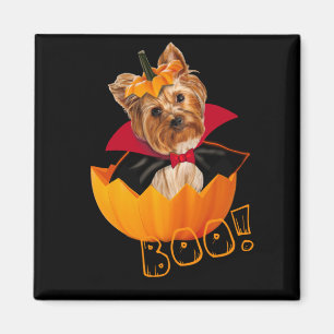 Halloween schattige Yorkshire doodpompoen Magneet