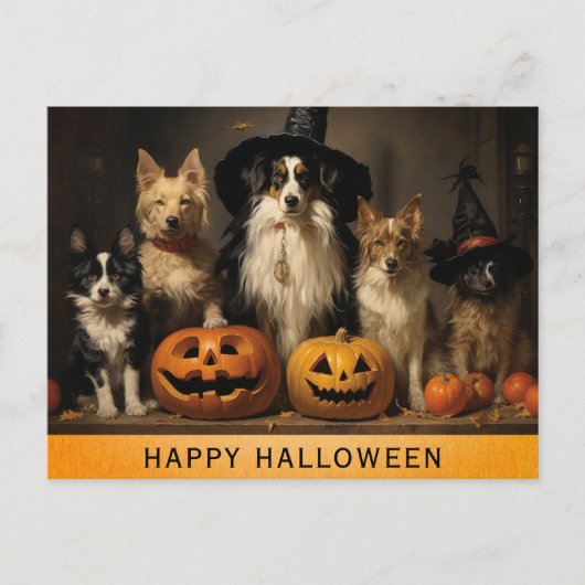 Halloween Schattigee Hond Heks Pompoen Briefkaart (Voorkant)