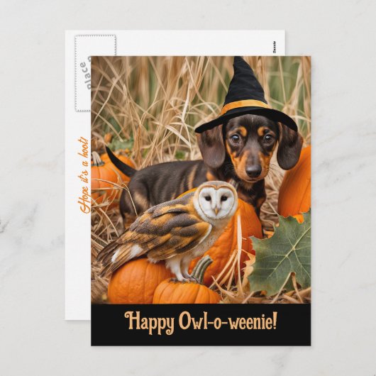 Halloween Schattigee Teckel Pup Uil Feestdagenkaart (Voorkant / Achterkant)