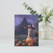 Halloween Schattigee Witchy Cat Pumpkins Feestdagenkaart (Staand voorkant)