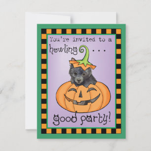 Halloween Schipperke Card Kaart
