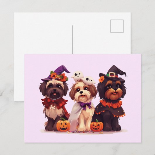 Halloween Shih Tzu Dogs Briefkaart (Voorkant / Achterkant)