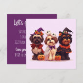 Halloween Shih Tzu Dogs Kaart (Voorkant / Achterkant)