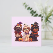Halloween Shih Tzu Dogs Kaart (Staand voorkant)