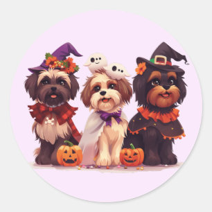 Halloween Shih Tzu Dogs Ronde Sticker