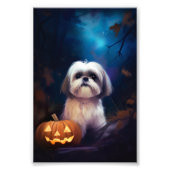 Halloween Shih Tzu met pompoenen eng Foto Afdruk (Voorkant)