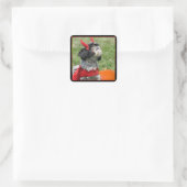 Halloween Shih Tzu Vierkante Sticker (Tas)