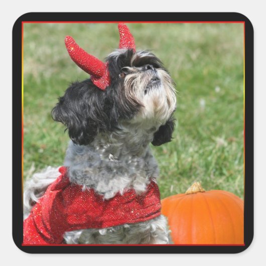 Halloween Shih Tzu Vierkante Sticker (Voorkant)