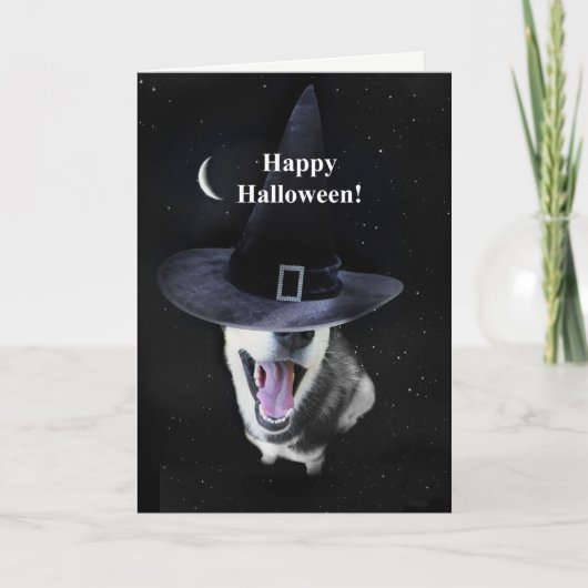 Halloween Siberian Husky Witchy Fun Kaart (Voorkant)