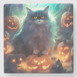 Halloween Siberische Kat Met Pompoenen Griezelen Stenen Onderzetter