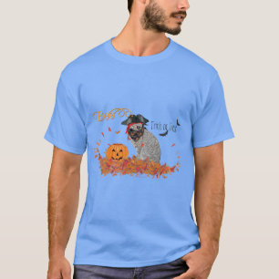 Halloween Sinterklaas of Trick-or-Treat Kat T-shirt