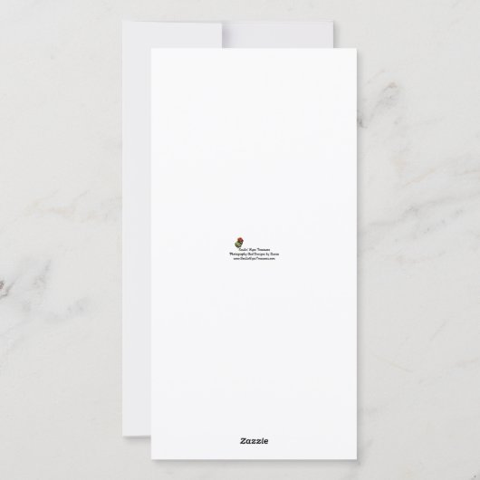 Halloween Skelet Grafsteen Fotokaart Feestdagenkaart (Achterkant)