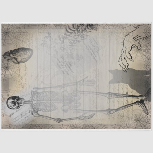 Halloween Skeleton en Black Cat Ephemera Tissuepapier (Voorkant)