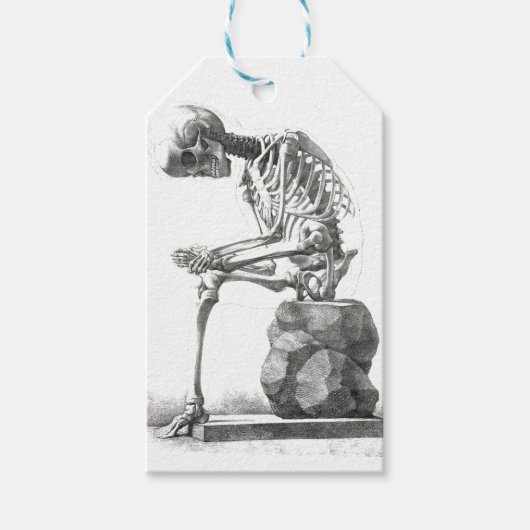 Halloween Skeleton Sitting Anatomy Cadeaulabel (Voorkant)