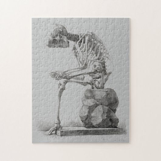 Halloween Skeleton Sitting Anatomy Legpuzzel (Verticaal)