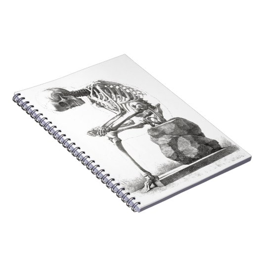 Halloween Skeleton Sitting Anatomy Notitieboek (Rechterzijde)