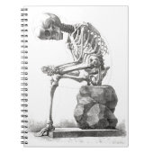 Halloween Skeleton Sitting Anatomy Notitieboek (Voorkant)
