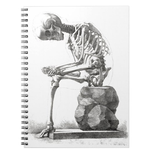 Halloween Skeleton Sitting Anatomy Notitieboek (Voorkant)