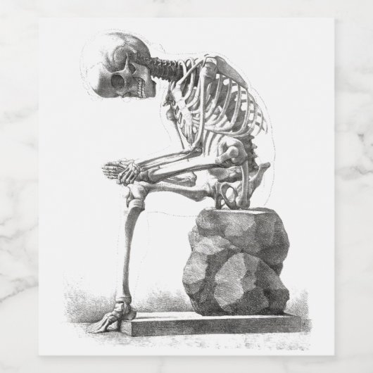 Halloween Skeleton Sitting Anatomy Wijn Etiket (Enkel label)