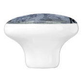 Halloween Skull en Crow Customize Keramische Knop (Zijkant)