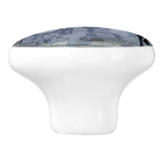 Halloween Skull en Crow Customize Keramische Knop (Zijkant)