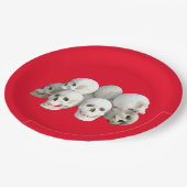 Halloween Skulls Paper Bord (Gekanteld)