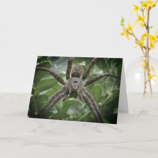 Halloween Spider Kaart (Gele Bloem)