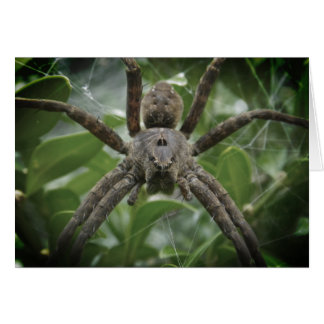 Halloween Spider Kaart