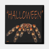 Halloween Spider Magnet (Voorkant)