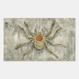 Halloween Spider op haar web met een Fly Rechthoekige Sticker