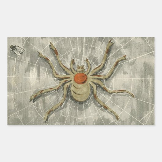Halloween Spider op haar web met een Fly Rechthoekige Sticker (Voorkant)