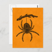  Halloween Spider Oranje Achtergrondspieren Briefkaart (Voorkant / Achterkant)