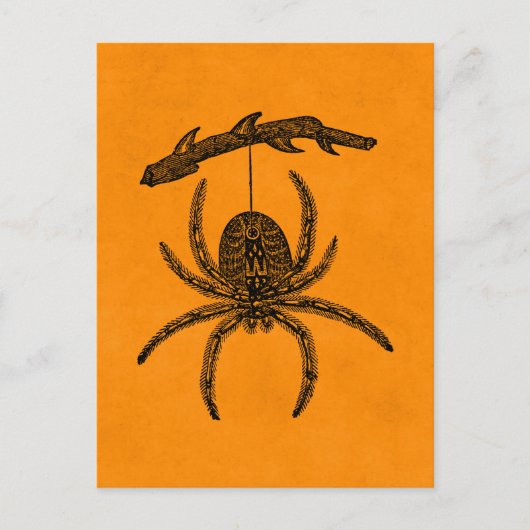  Halloween Spider Oranje Achtergrondspieren Briefkaart (Voorkant)