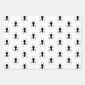 Halloween Spiders Black White Cobwebben Inpakpapier Vel (Voorkant 3)