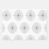 Halloween Spiders Black White Cobwebben Inpakpapier Vel (Voorkant 2)