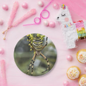 Halloween spin papier bord (Feest)