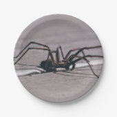 Halloween spin papier bord (Voorkant)