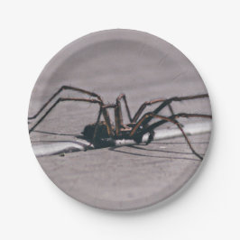 Halloween spin papier bord