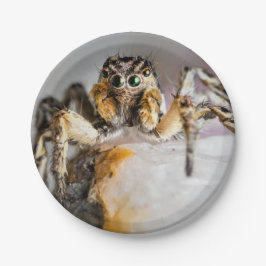 Halloween Spin Papier Bord