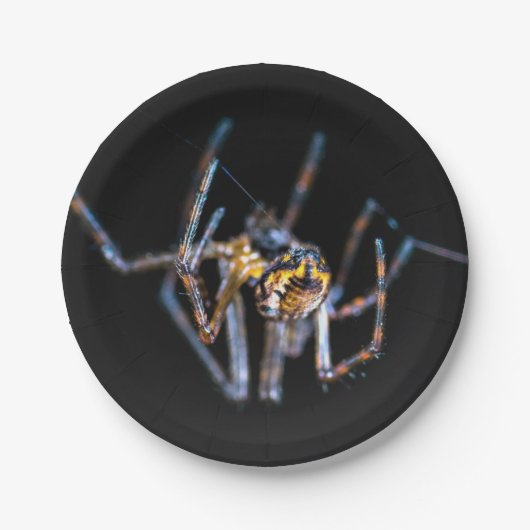 Halloween spin papier bord (Voorkant)