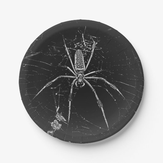 Halloween spin papier bord (Voorkant)