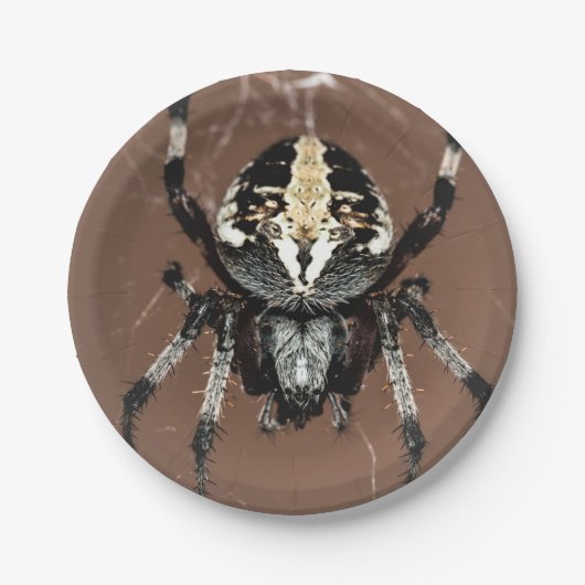 Halloween spin papier bord (Voorkant)