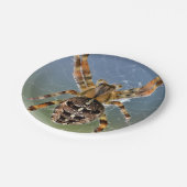 Halloween spin papier bord (Gekanteld)
