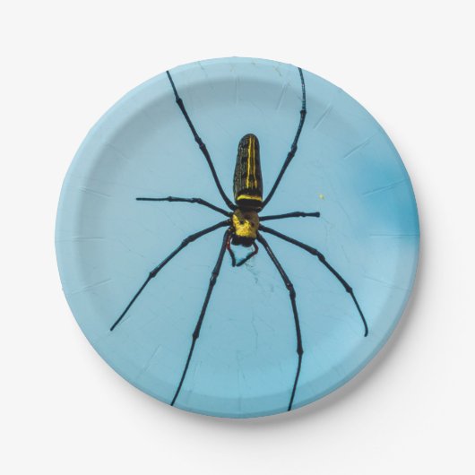 Halloween Spin Papieren Bordje (Voorkant)