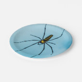 Halloween Spin Papieren Bordje (Gekanteld)