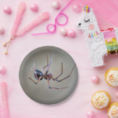 Halloween Spin Papierplaat Papieren Bordje (Feest)