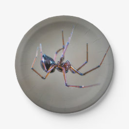 Halloween Spin Papierplaat Papieren Bordje