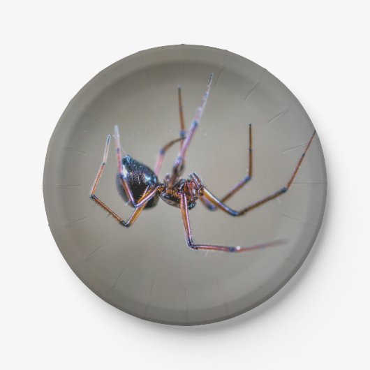 Halloween Spin Papierplaat Papieren Bordje (Voorkant)